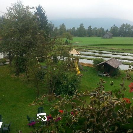 Wieselmuehle Forellenhof Gruenau im Almtal Luaran gambar
