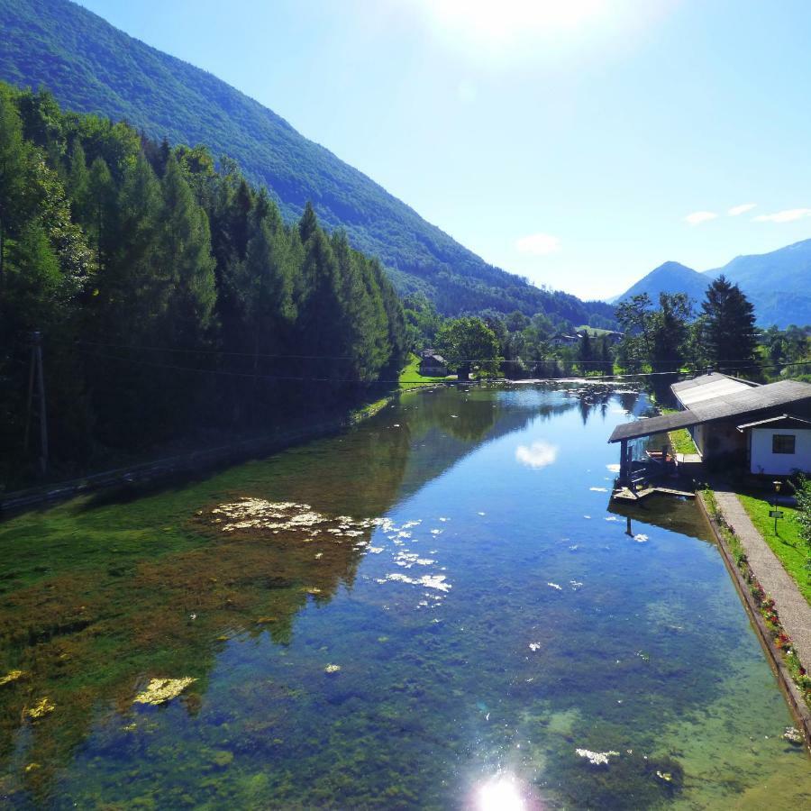 Wieselmuehle Forellenhof Gruenau im Almtal Luaran gambar