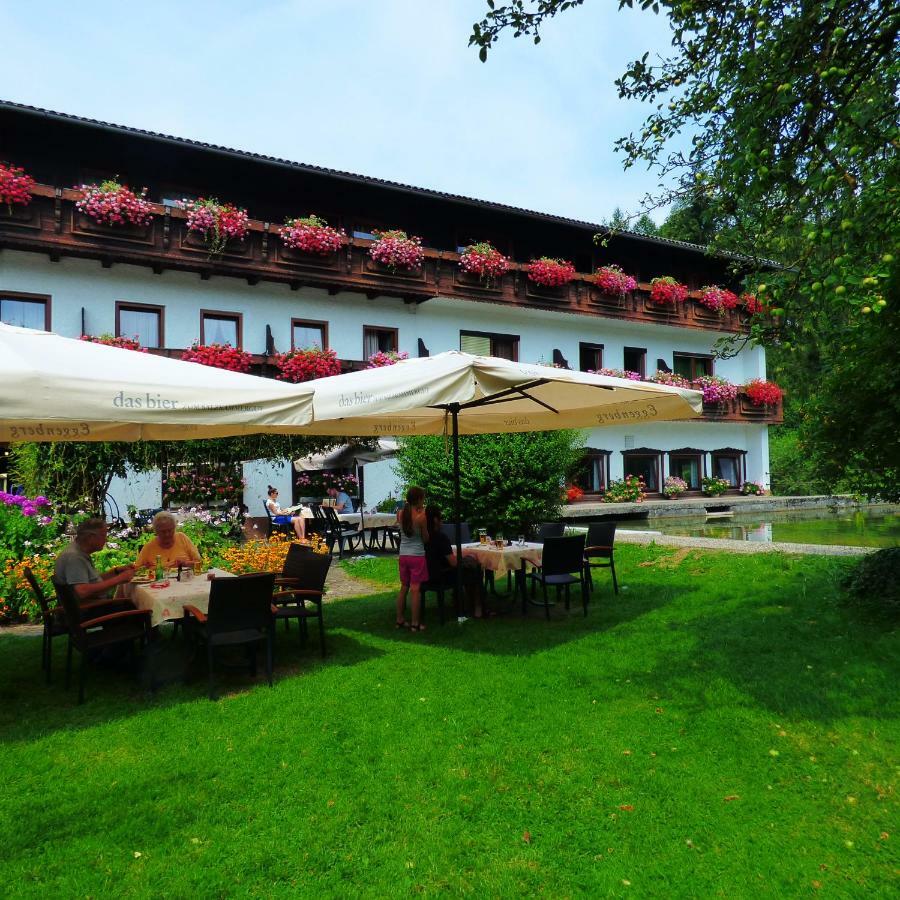 Wieselmuehle Forellenhof Gruenau im Almtal Luaran gambar