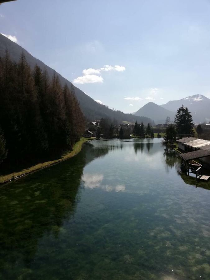 Wieselmuehle Forellenhof Gruenau im Almtal Luaran gambar