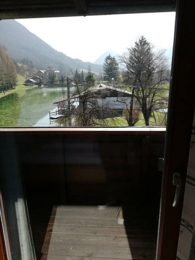 Wieselmuehle Forellenhof Gruenau im Almtal Luaran gambar
